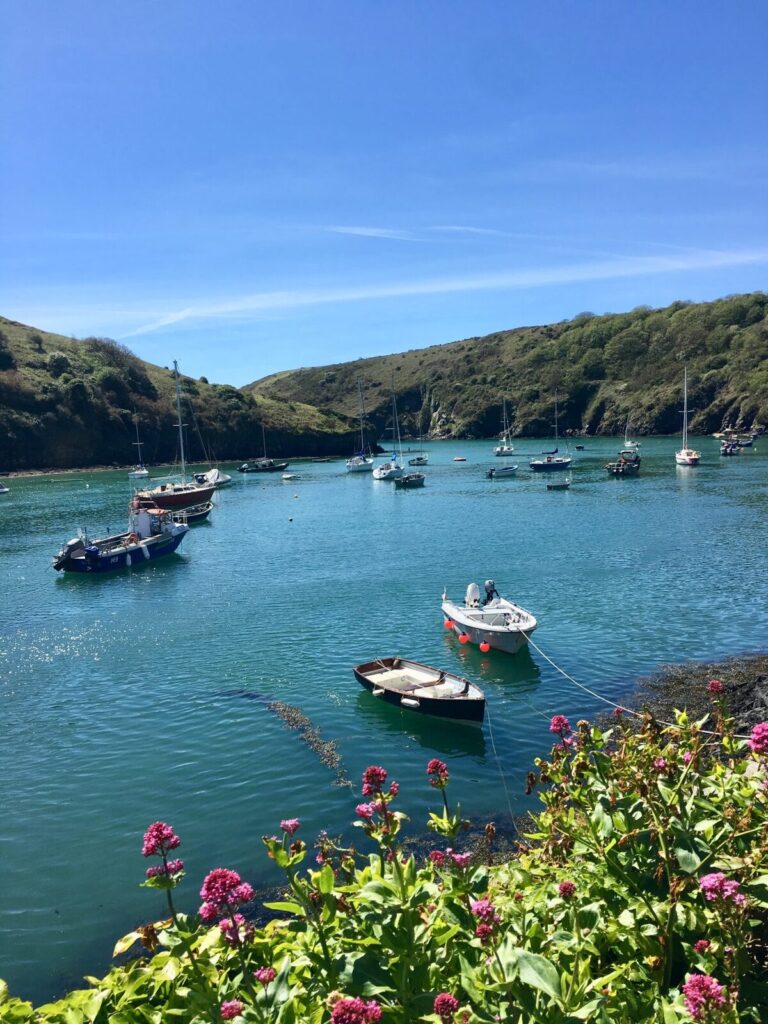 Boats moored in a Pembrokeshire harbour near St Davids